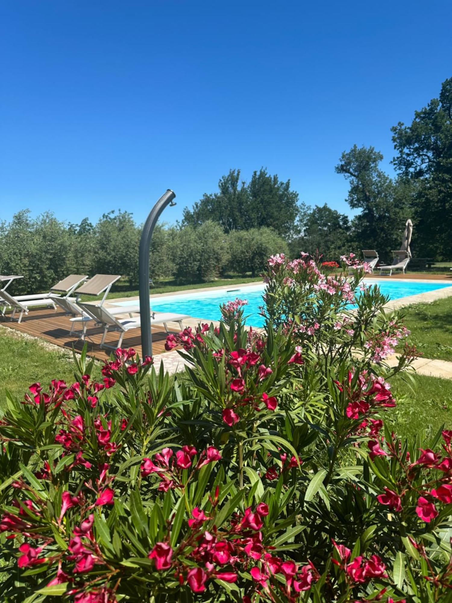 Podere Selvatici Imola Extérieur photo