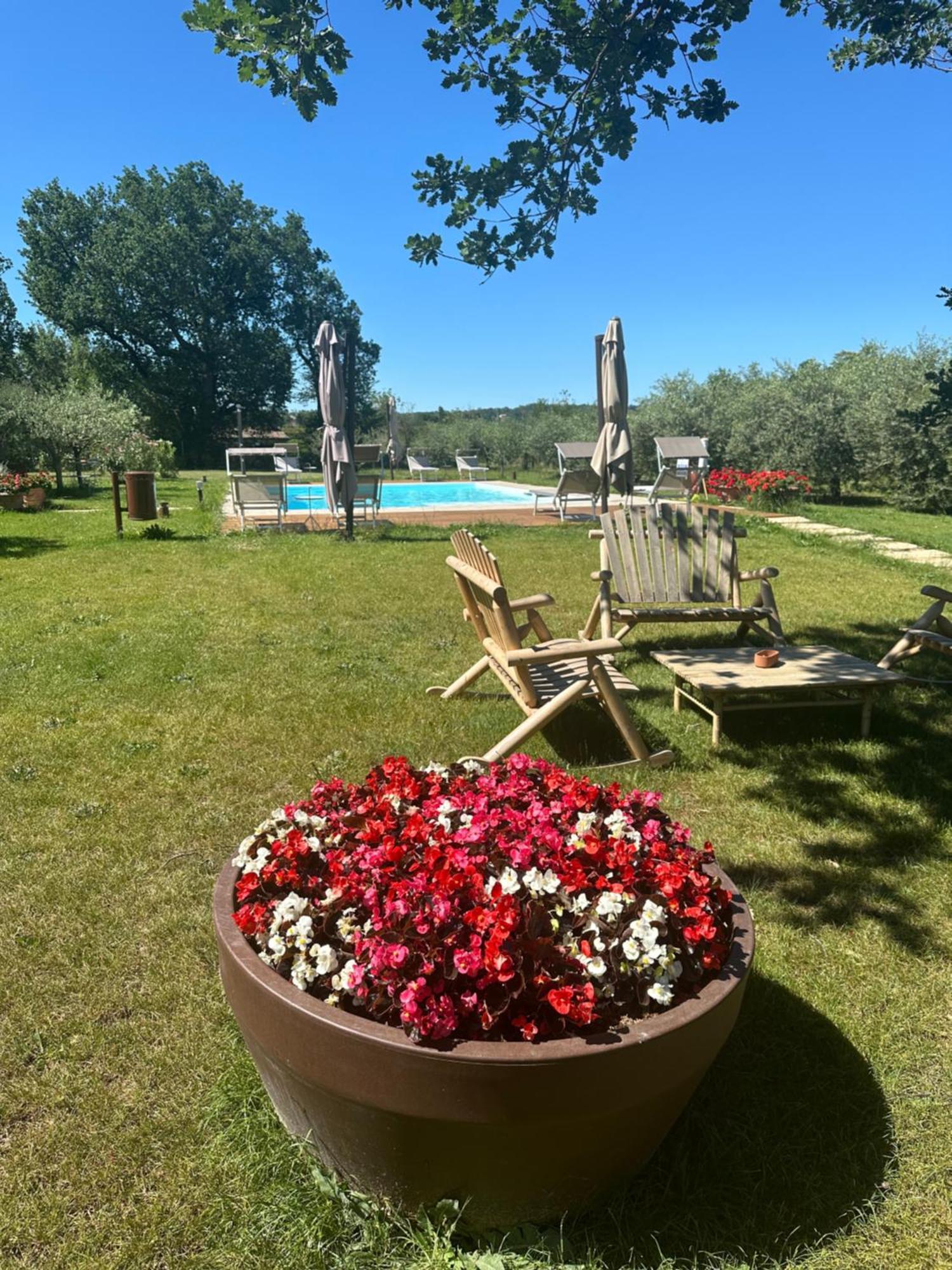 Podere Selvatici Imola Extérieur photo